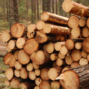 Wood Logs